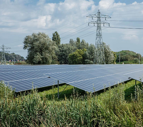 Système de panneaux solaires avec support de montage solaire au sol dans les basses latitudes